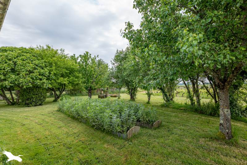 Vente Maison GEMOZAC - 5 pièces -168 m² - (17260)