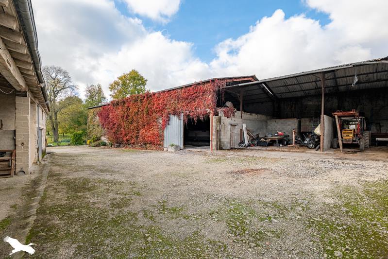 Vente Maison CHADENAC - 8 pièces -231 m² - (17800)