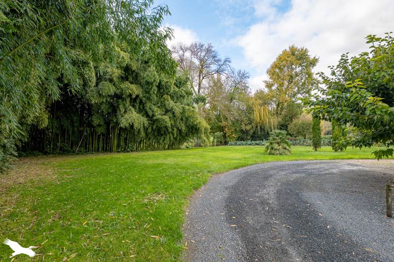 Vente Maison CHADENAC - 8 pièces -231 m² - (17800)