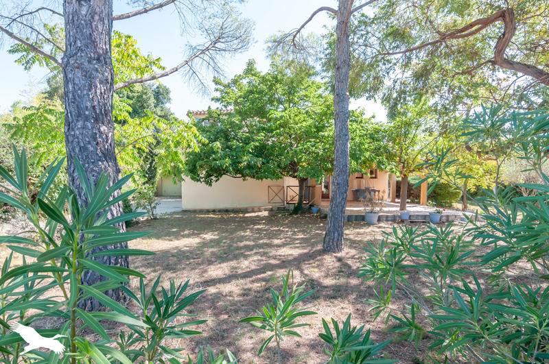 Vente Maison ST BAUZILLE DE LA SYLVE - 5 pièces -110 m² - (34230)