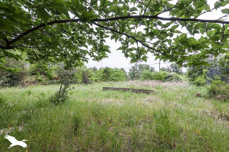 Vente Terrain ANIANE - -1100 m² - (34150)