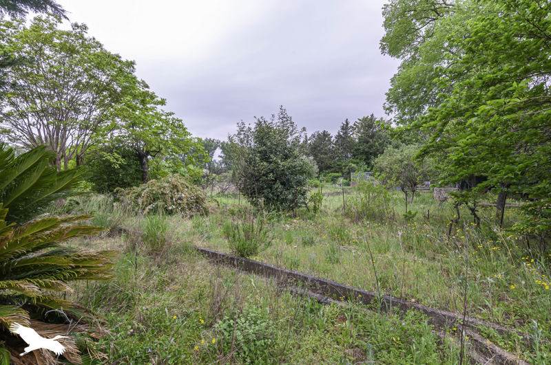 Vente Terrain ANIANE - -1100 m² - (34150)