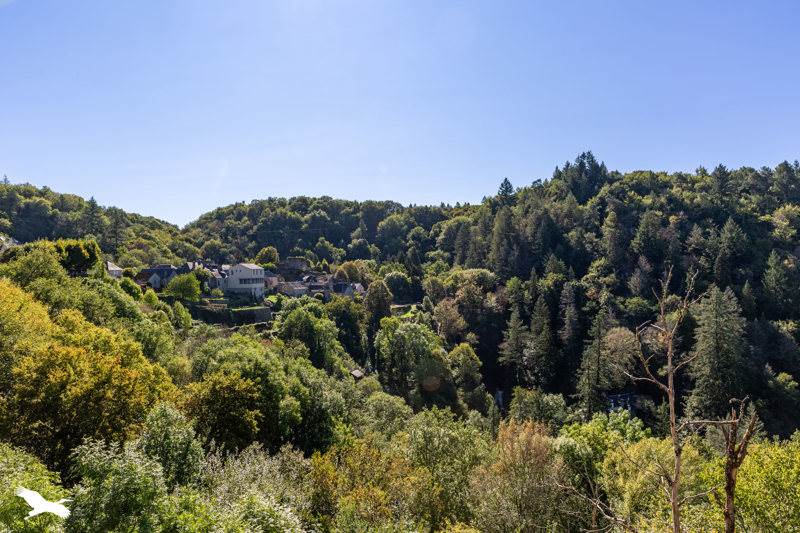 Vente Maison GIMEL LES CASCADES - 3 pièces -65 m² - (19800)