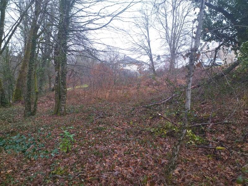 Vente Terrain CORREZE - -3349 m² - (19800)