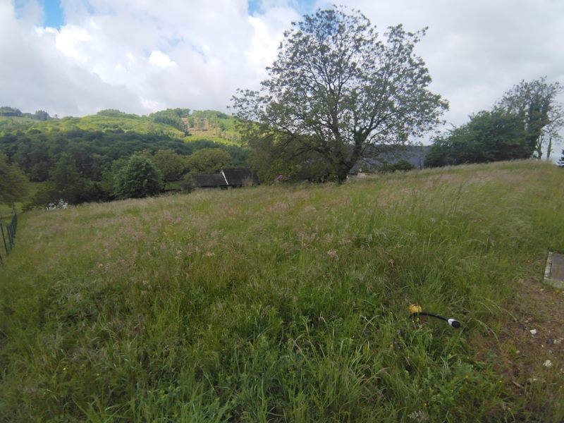Vente Terrain STE FORTUNADE 19490  2275 m²