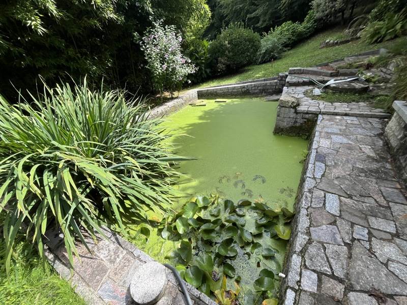 Vente Maison Laguenne-sur-Avalouze - 4 pièces -84,6 m² - (19150)
