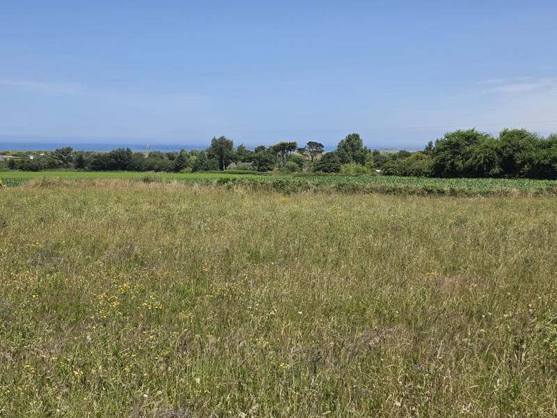 Vente Terrain LAMPAUL PLOUDALMEZEAU - -622 m² - (29830)