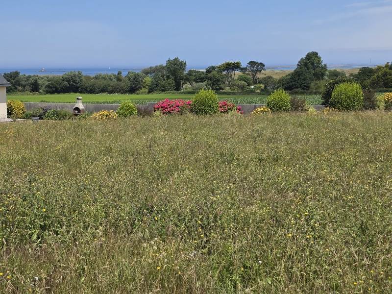 Vente Terrain LAMPAUL PLOUDALMEZEAU - -636 m² - (29830)