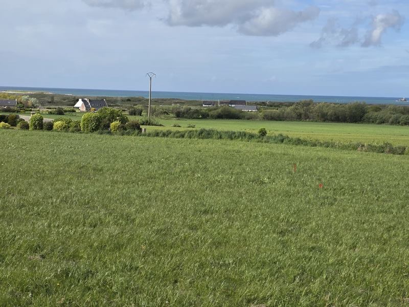 Vente Terrain LAMPAUL PLOUDALMEZEAU - -636 m² - (29830)