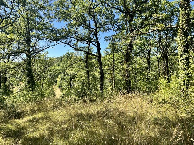 Vente Terrain ESCLAUZELS - -2400 m² - (46090)