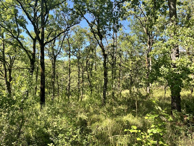 Vente Terrain ESCLAUZELS - -2400 m² - (46090)