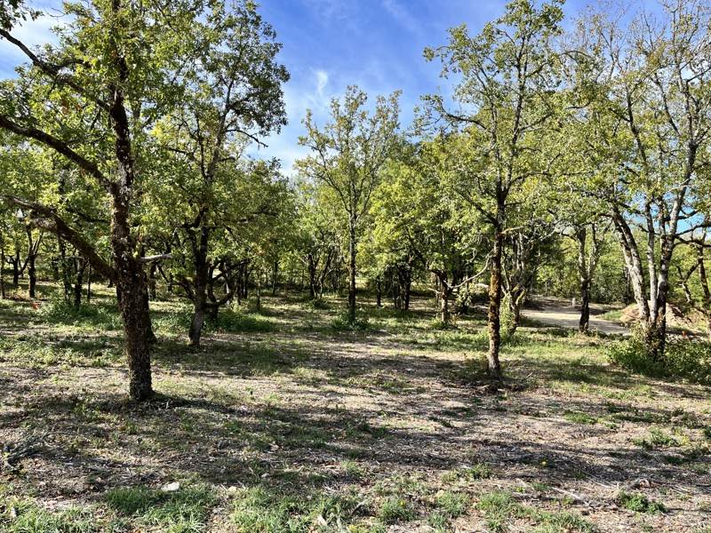 Vente Terrain LALBENQUE - -747 m² - (46230)