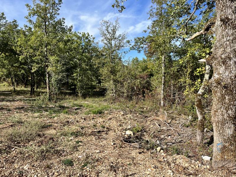 Vente Terrain LALBENQUE - -813 m² - (46230)