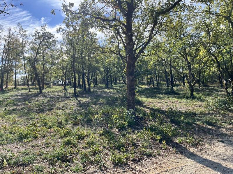 Vente Terrain LALBENQUE - -813 m² - (46230)