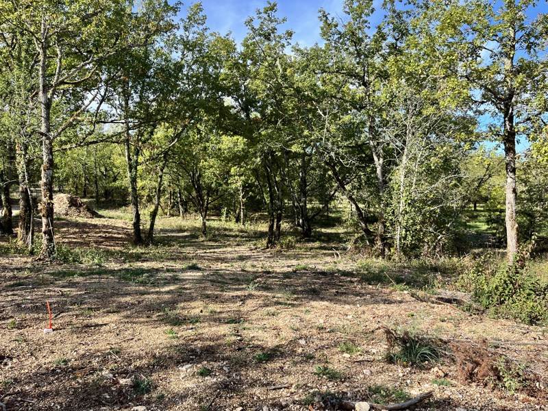 Vente Terrain LALBENQUE - -1318 m² - (46230)