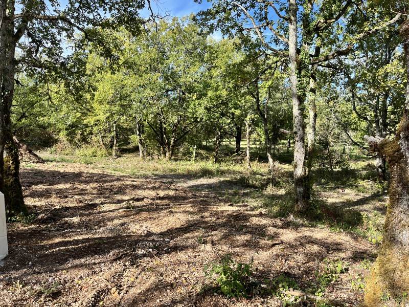 Vente Terrain LALBENQUE - -1327 m² - (46230)