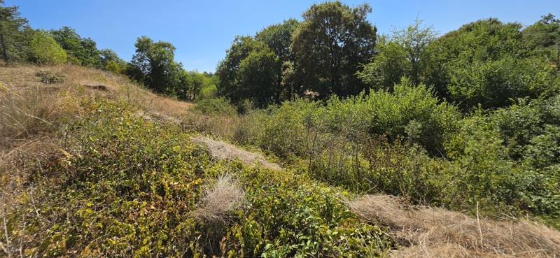 Vente Terrain LALBENQUE - -2325 m² - (46230)