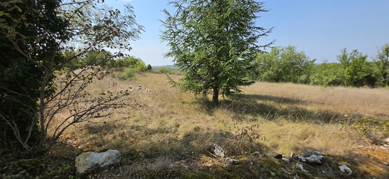 Vente Terrain LABURGADE - -4568 m² - (46230)
