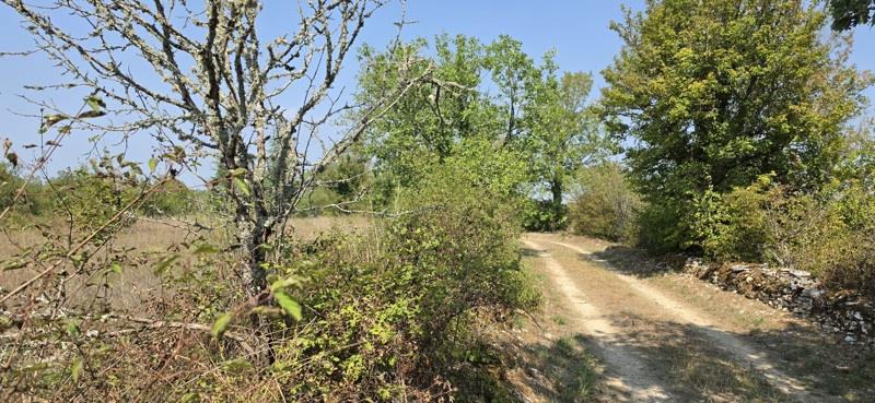 Vente Terrain LABURGADE - -4568 m² - (46230)