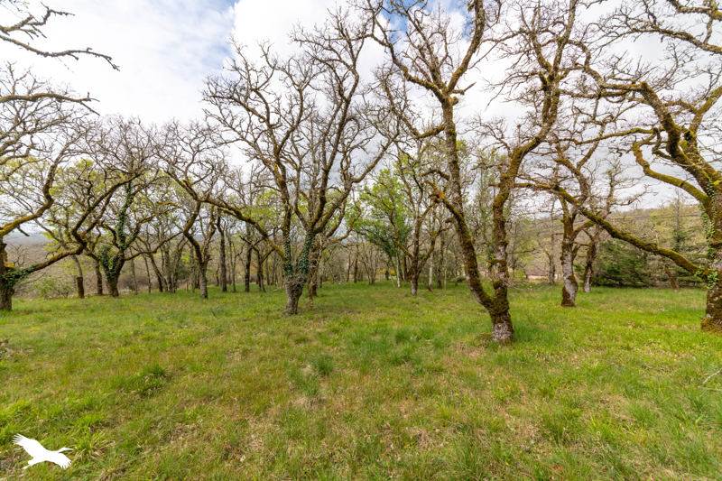 Vente Maison ARCAMBAL - 6 pièces -107 m² - (46090)