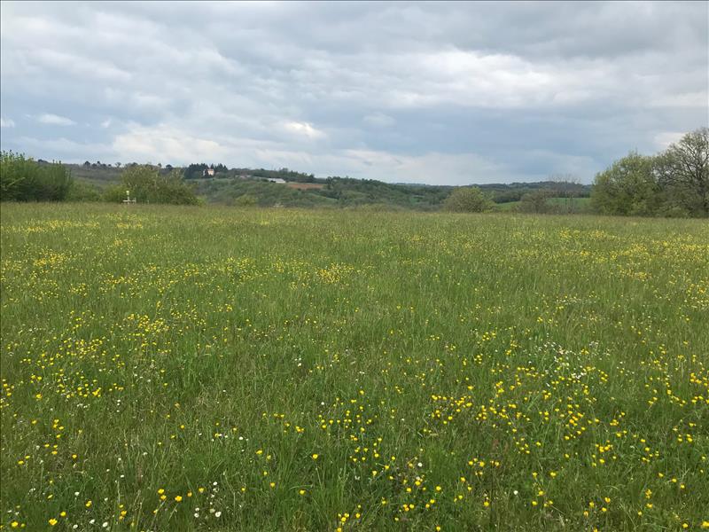 Vente Terrain ST CIRQ SOUILLAGUET - -7035 m² - (46300)