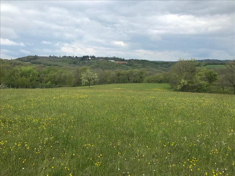 Vente Terrain ST CIRQ SOUILLAGUET - -7035 m² - (46300)
