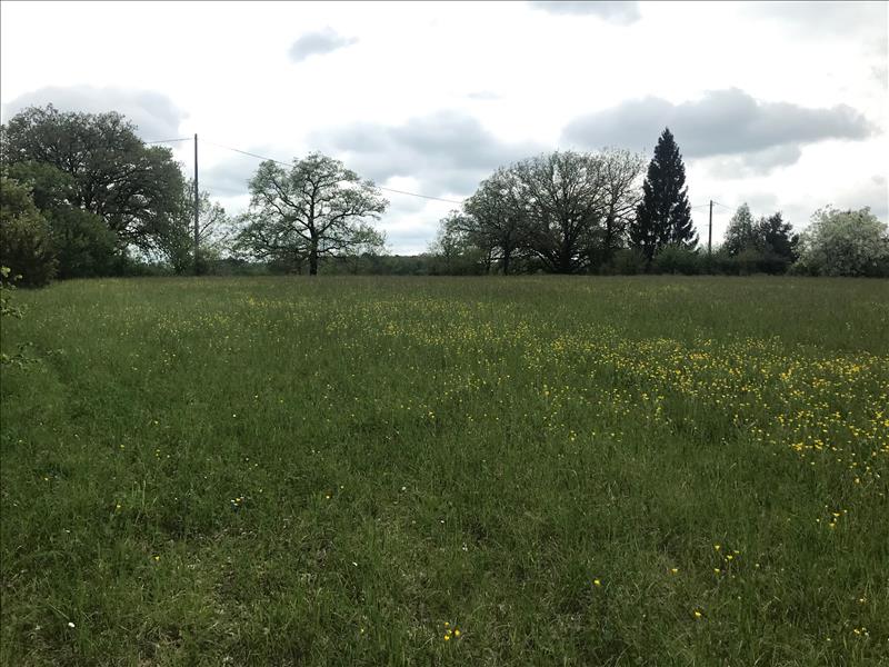 Vente Terrain ST CIRQ SOUILLAGUET - -7035 m² - (46300)