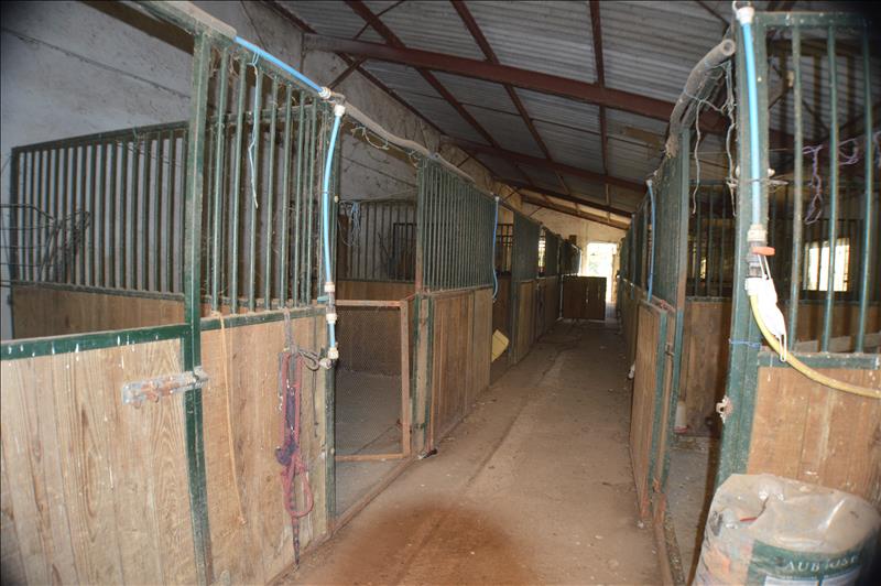 Vente Maison DEGAGNAC - 6 pièces -191 m² - (46340)