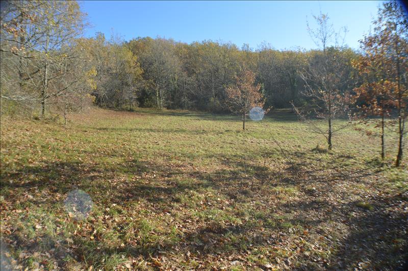 Vente Terrain CAZALS - -4700 m² - (46250)