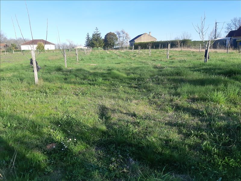Vente Terrain DEGAGNAC - -6578 m² - (46340)