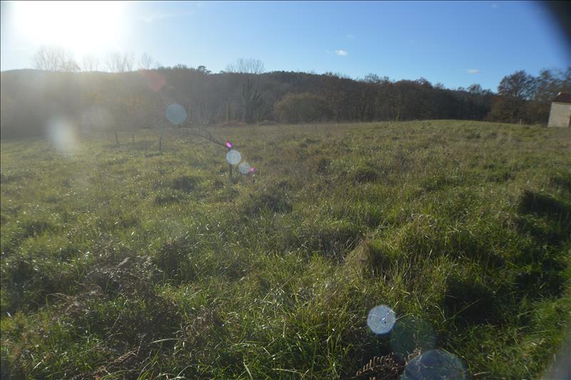 Vente Terrain LES ARQUES - -9282 m² - (46250)