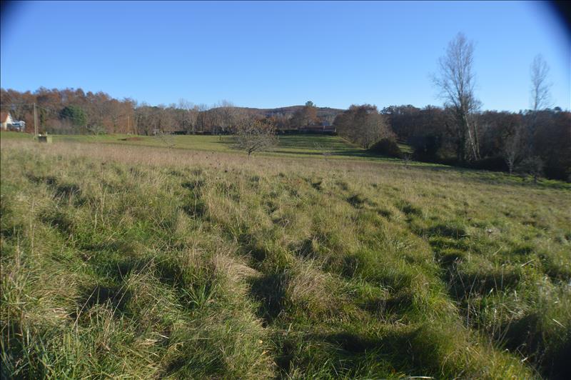 Vente Terrain LES ARQUES - -9282 m² - (46250)