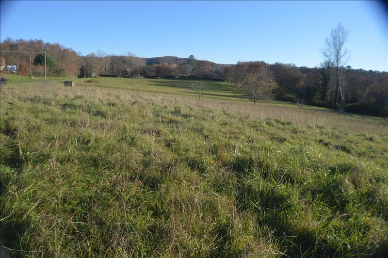 Vente Terrain LES ARQUES - -9282 m² - (46250)