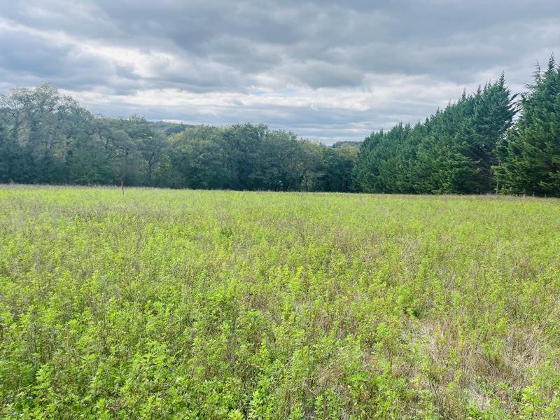 Vente Terrain LE VIGAN-EN-QUERCY - -5564 m² - (46300)