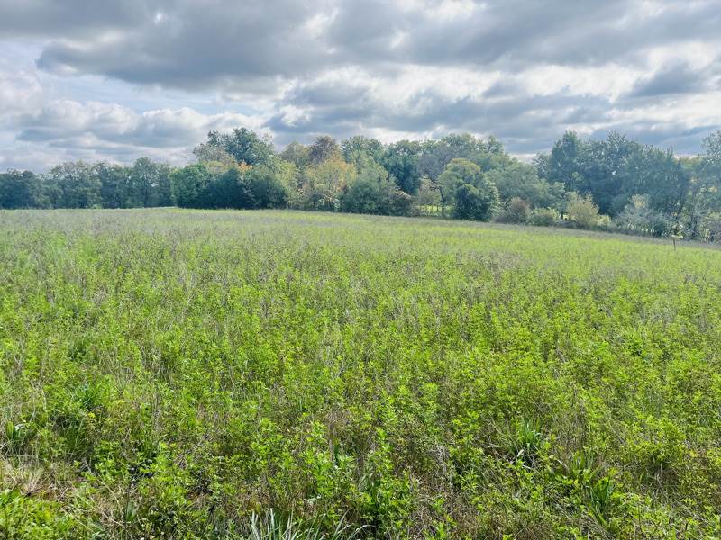 Vente Terrain LE VIGAN-EN-QUERCY - -5564 m² - (46300)