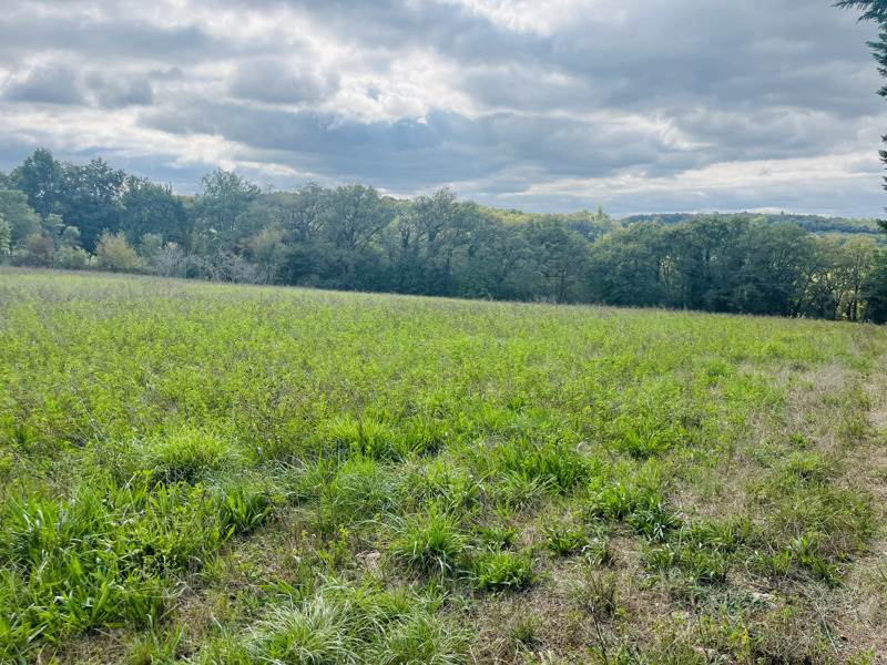 Vente Terrain LE VIGAN-EN-QUERCY - -5564 m² - (46300)