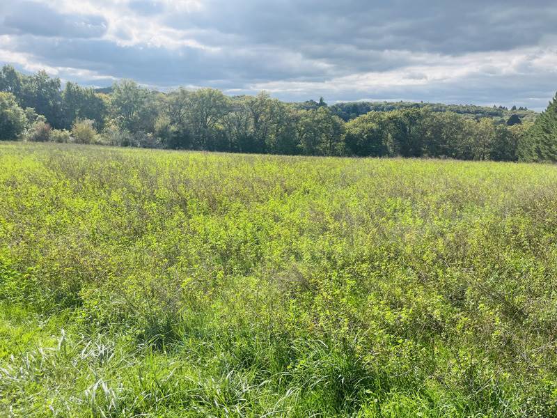 Vente Terrain LE VIGAN-EN-QUERCY - -5564 m² - (46300)