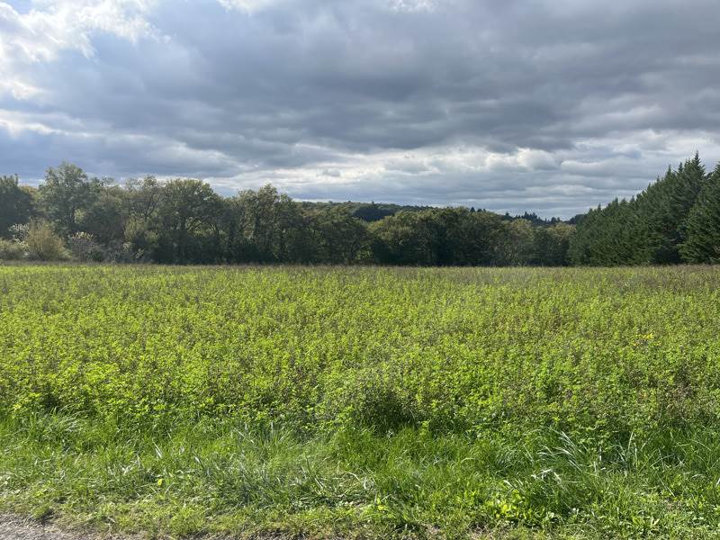 Vente Terrain LE VIGAN-EN-QUERCY - -5564 m² - (46300)
