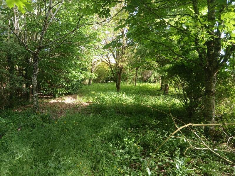 Vente Terrain LE VIGAN-EN-QUERCY - -3135 m² - (46300)