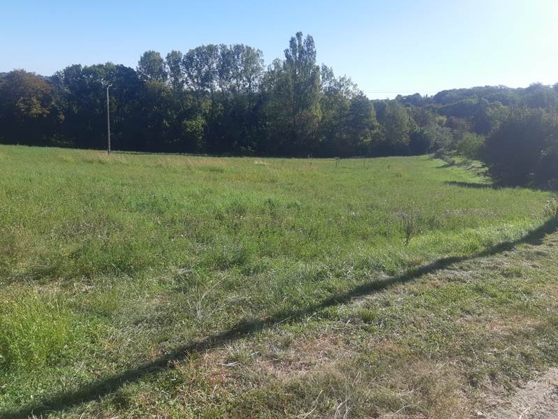 Vente Terrain Le Vigan-en-quercy - -1495 m² - (46300)