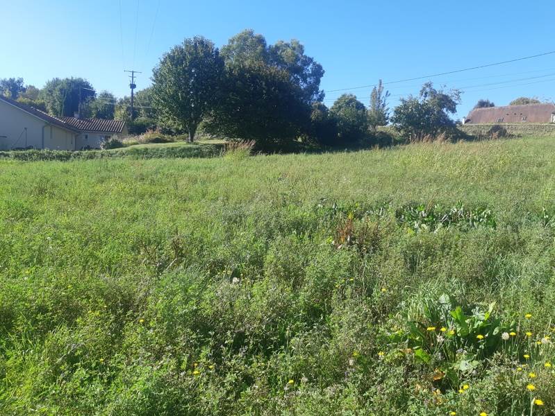 Vente Terrain Le Vigan-en-quercy - -1495 m² - (46300)