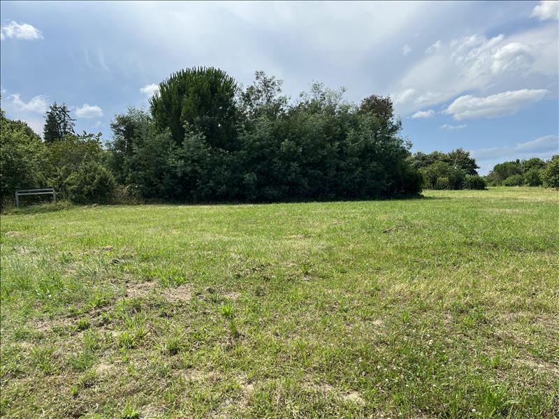 Vente Terrain MIRANDE - -893 m² - (32300)