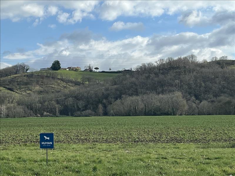 Vente Terrain BERDOUES - -2173 m² - (32300)
