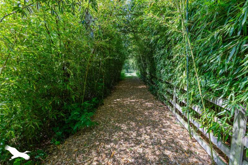 Vente Maison BEAUMARCHES - 9 pièces -284 m² - (32160)
