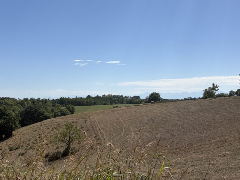 Vente Terrain ST MAUR - -6154 m² - (32300)