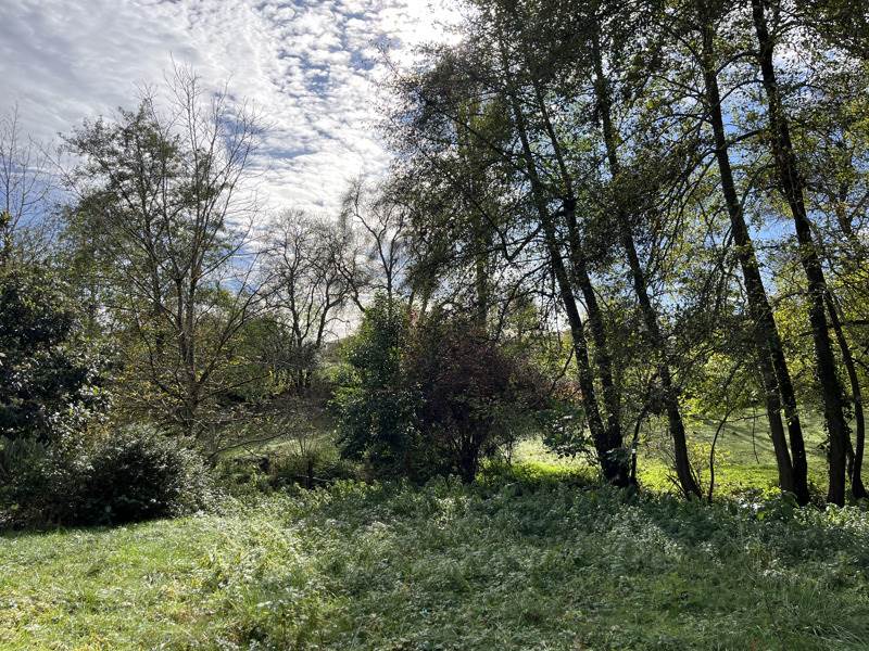 Vente Maison MIRANDE - 6 pièces -155 m² - (32300)