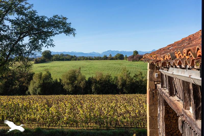 Vente Maison BEZUES BAJON - 8 pièces -210 m² - (32140)