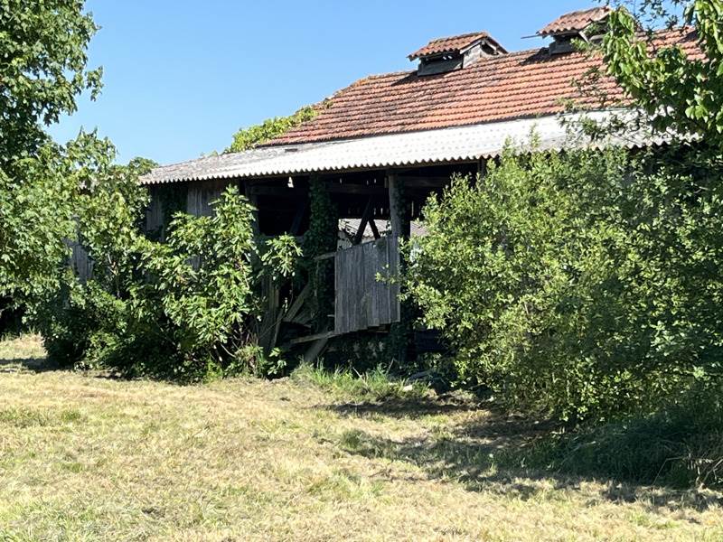 Vente Maison ST ELIX THEUX - 6 pièces -187 m² - (32300)