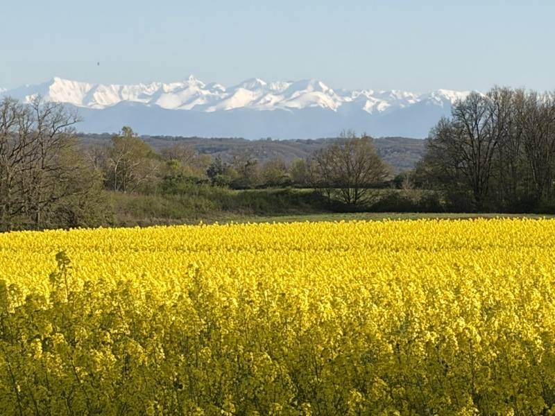 Vente Maison LOURTIES MONBRUN - 10 pièces -340 m² - (32140)