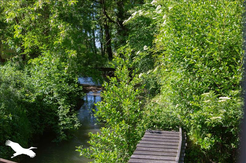 Vente Maison HAGET - 3 pièces -171 m² - (32730)